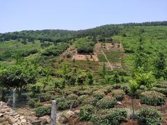-缥缈峰景区
