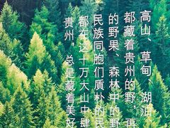 -老凯俚酸汤鱼(鸿通城店)