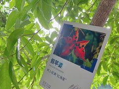-马峦山郊野公园