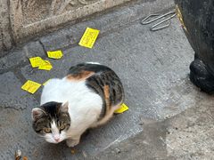 -长春观