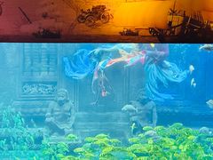 -北海海底世界