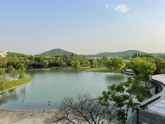 -上海佘山世茂艾美酒店