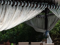 -看见远方·莫干遥远的山民宿