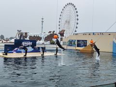 -秦皇岛乐岛海洋王国