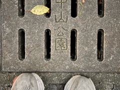 -中山公园
