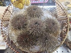 -HIHE Bistro·Oyster Bar(华熙live店)