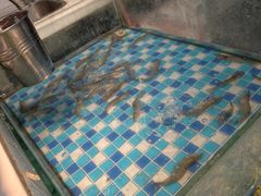 -养牛邓·潮汕牛肉海鲜自助火锅(广州店)