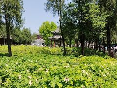 -洛阳白马寺