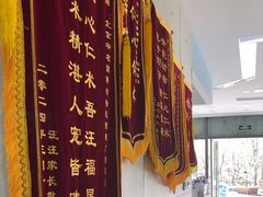 -中农国际动物医院24小时·猫科·骨科·急重症中心
