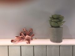 大堂-友达面馆(广州总店)