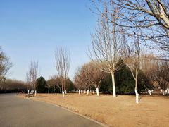 -永定河休闲森林公园