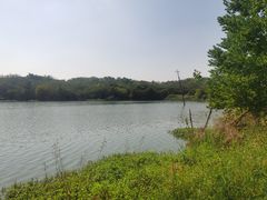 -盘龙城国家考古遗址公园