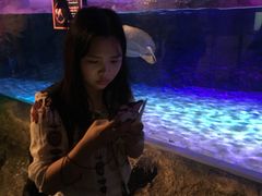 -暹罗海洋世界
