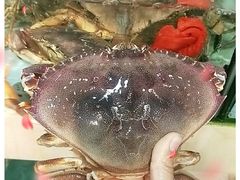 -原龙海鲜大排档(美食地标店)