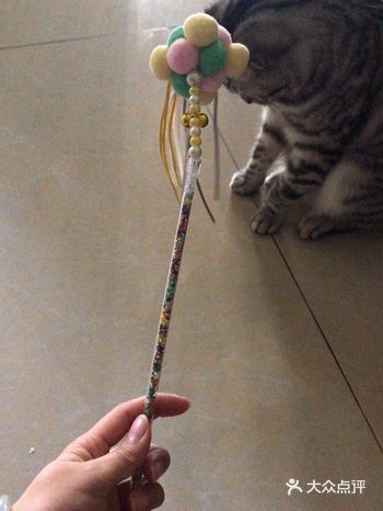 有了猫粮桶再也不担心猫粮会不会回了倒的时候洒一地了