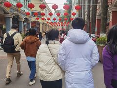 -顺德大良半月城游乐场