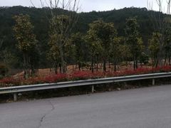 -华溪森林公园-售票处