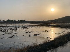 -上海佘山国家森林公园天马山园