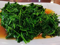 -长兴菜馆(高桥店)