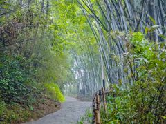 -水濂山森林公园