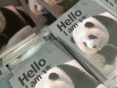 -熊猫邮局(少城店)