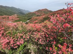-大围山国家森林公园