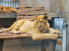 -西安秦岭野生动物园