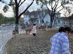 -鹅湖玫瑰文化园