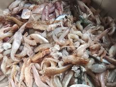 -青岛沙子口国家中心渔港