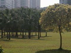-东风公园
