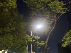 -美兰湖景区