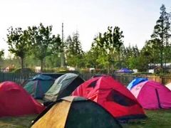 -前小桔亲子创意农场·草莓采摘·露营烧烤