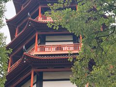 -绳金塔