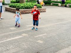 -晓港公园