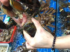 -船奇蒸汽海鲜·闽菜(八市海鲜总店)