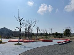 -春花秋色城市公园