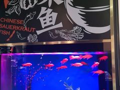 -蜀锦堂·川味现炒(襄阳武商汇店)