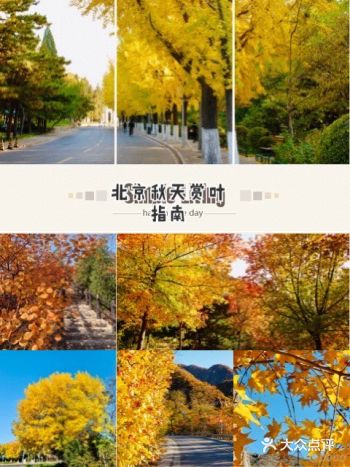 景点介绍: 延庆白河堡至怀柔汤河口的S309公路