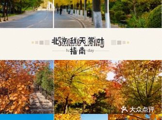 景点介绍： 延庆白河堡至怀柔汤河口的S309公路