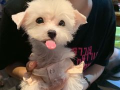 -伽利略剧本探案馆(国贸店)