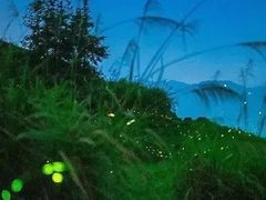 -南靖田螺坑土楼群景区