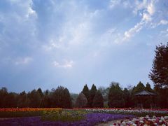 -石家庄市植物园
