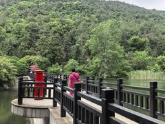 -九龙潭景区