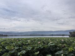 -西昌邛海湿地