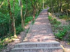 -紫金山山顶公园