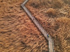 -野鸭湖国家湿地公园