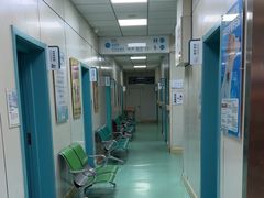-北京观赏动物医院·24小时大型综合·猫专科·异宠专科
