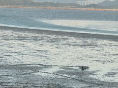 -深圳湾公园(南山区)