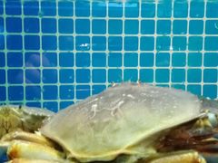 -徽三说·土徽菜·中国徽菜连锁品牌(一中店)