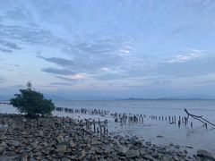 -深圳湾公园(南山区)
